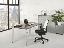 thumbnail TxM Q-tex bureau/tafel antra foto #1